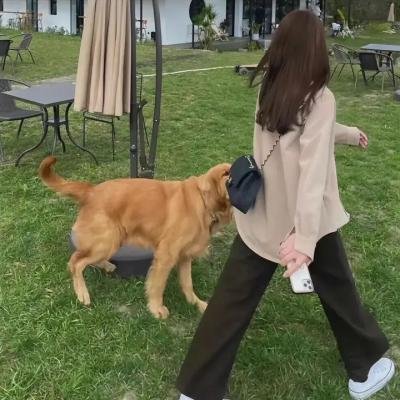 最终生还者